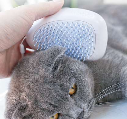 Pet Grooming Brush for White Cat Hair Removal