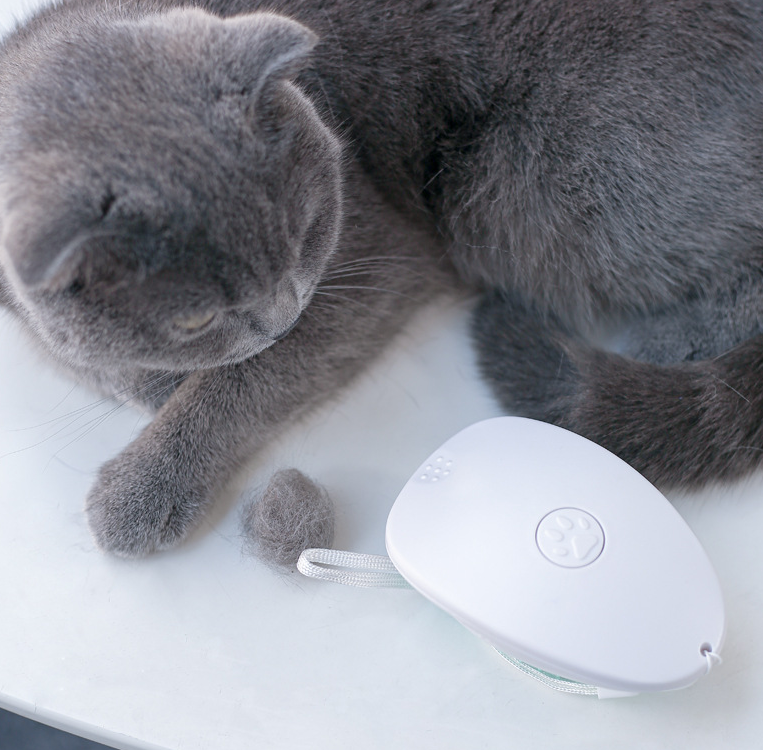 Pet Grooming Brush for White Cat Hair Removal