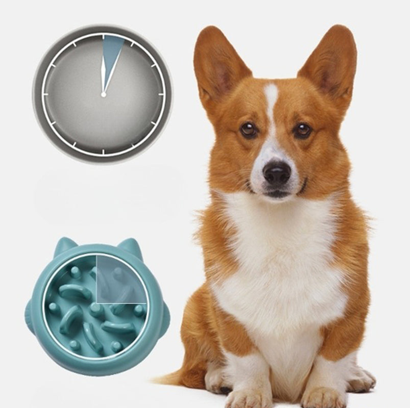 Pet Slow Feeder Bowls for Dogs and Cats - Anti-Choking and Anti-Gulping Feeding Dish