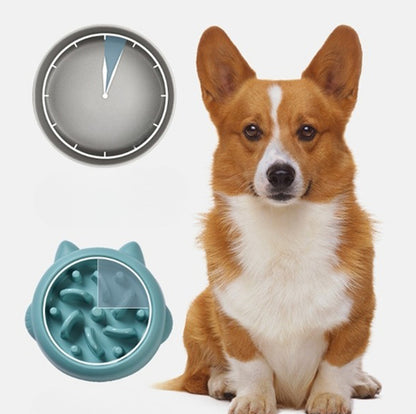 Pet Slow Feeder Bowls for Dogs and Cats - Anti-Choking and Anti-Gulping Feeding Dish